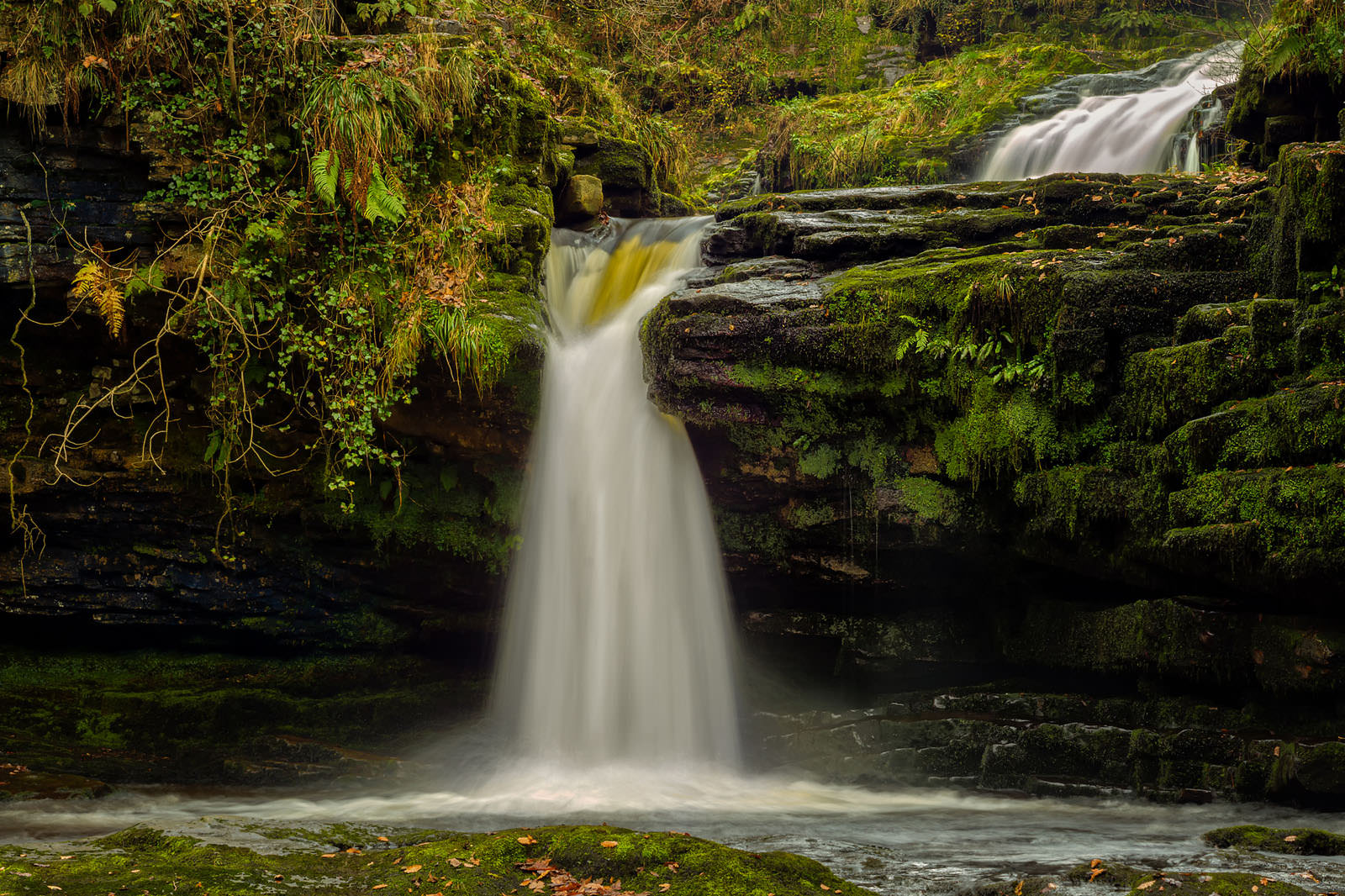 Hunting Waterfalls
